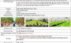 ĐƠN HÀNG TUYỂN DỤNG THÁNG 6