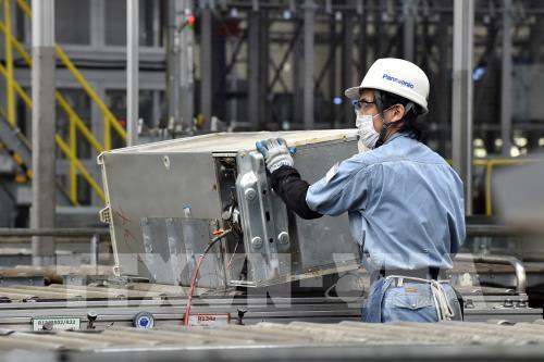 Nhật Bản Dự Kiến Tăng Cường Tiếp Nhận Lao Động Kỹ Năng Mới Từ Năm 2025 - 2026