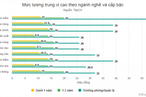 Thu nhập các ngành trong năm 2024